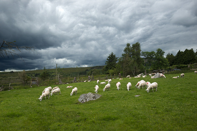 http://www.exploreecosse.fr/wp-content/uploads/2014/10/tour-escocia1.jpg