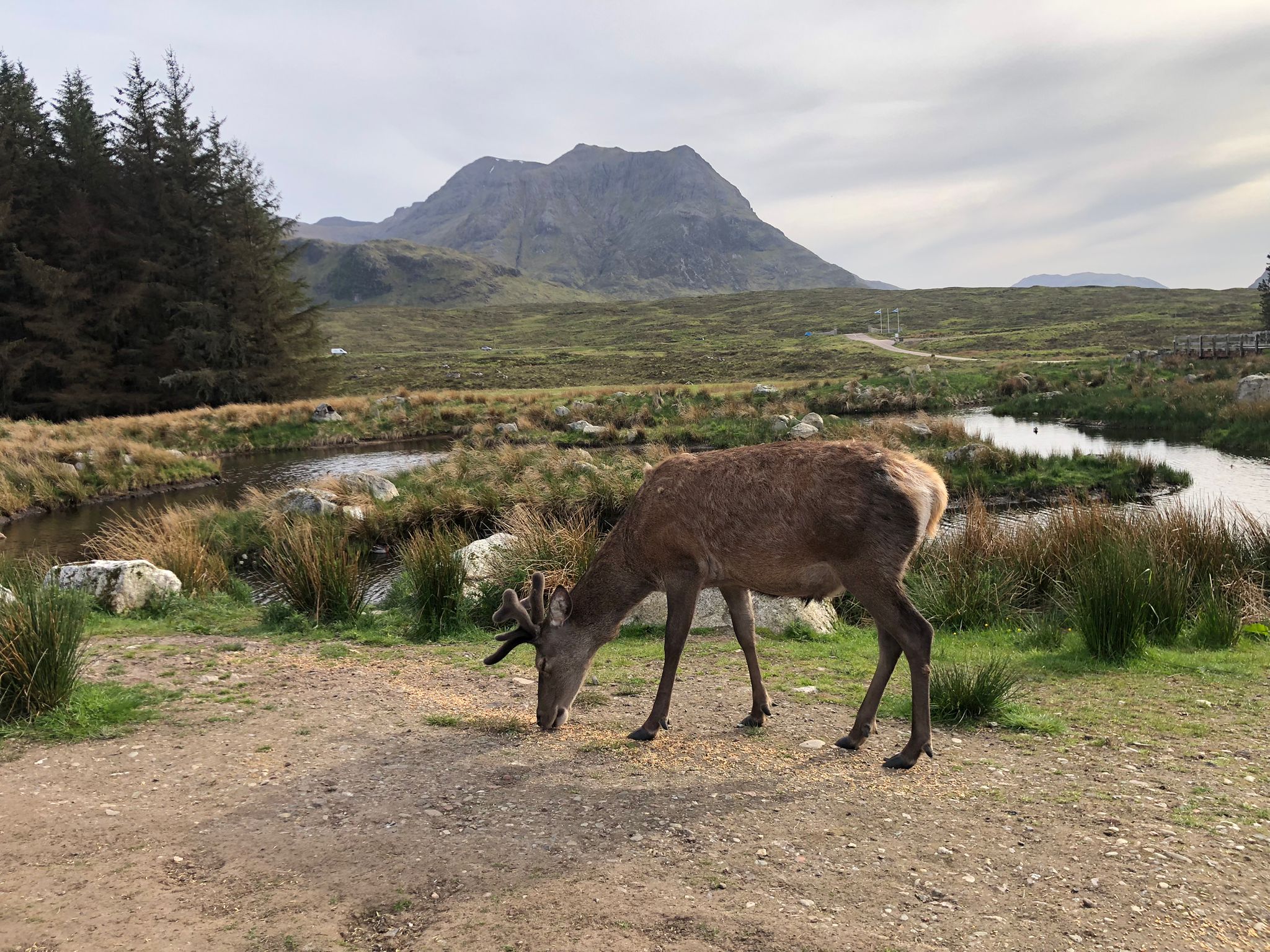 Glencoe